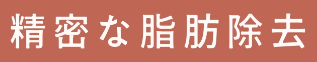 精密な脂肪除去